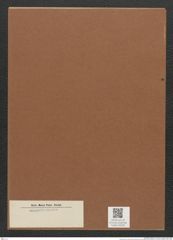 Diatomeae indet. Zeichnungen Sammlung Grunow Mappe 02336 (Herbarium_W_Grunow_drawings_Folder_02336)
